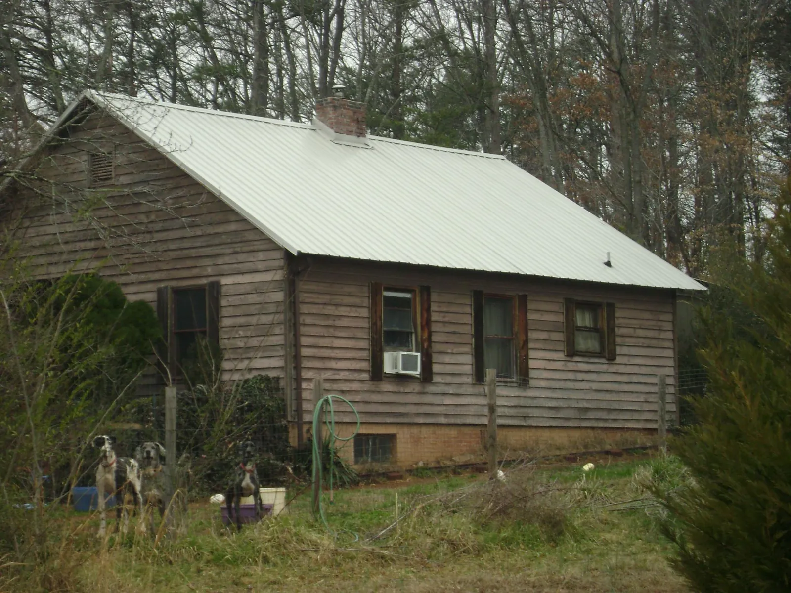 White metal roof on an old wood sided farmhouse, from a Asphalt Shingle Roof Repair job in Inglewood